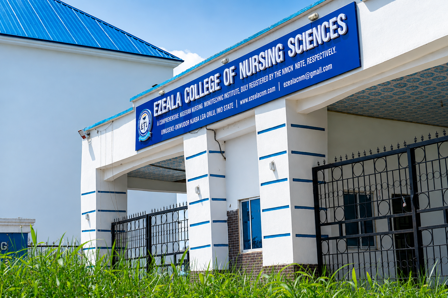 Nursing student at Ezeala College of Nursing Sciences